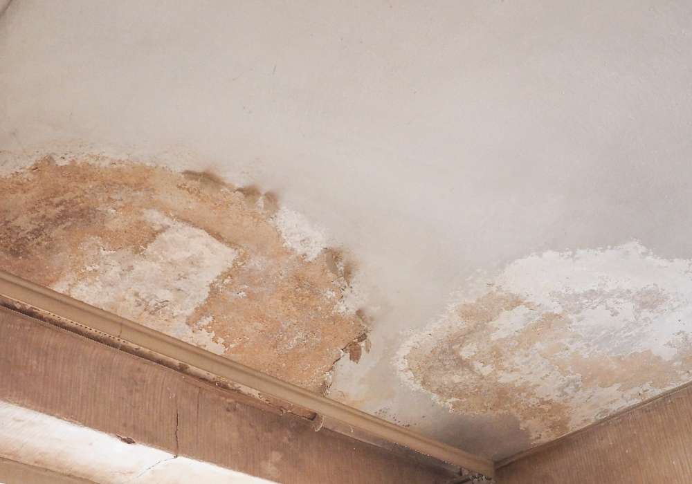 The Mold Discovery - Home Inspection Process 